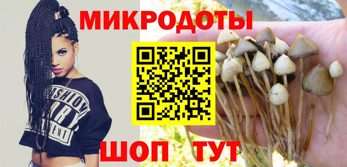 Верхняя Пышма  Галлюциногенные грибы Magic Shrooms  Псилоцибиновые грибы ЛСД  Вход с VPN 
